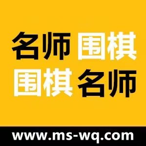 名师围棋网校